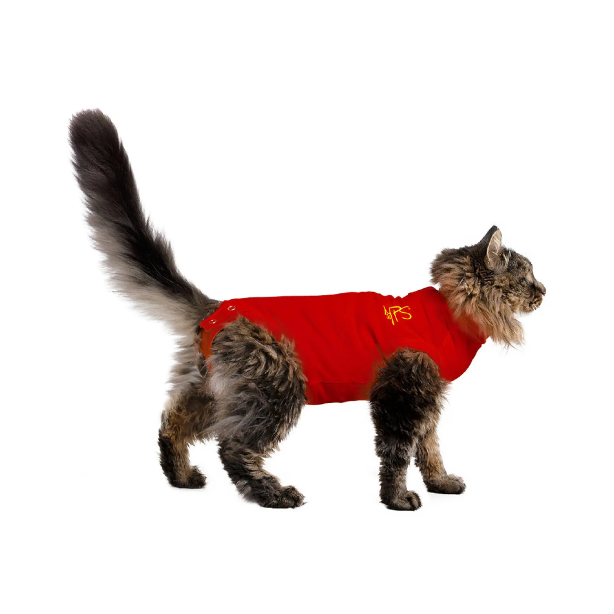 Medical Pet Shirt per Gatto