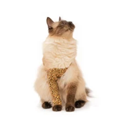 MPS Manica per zampa anteriore Gatto