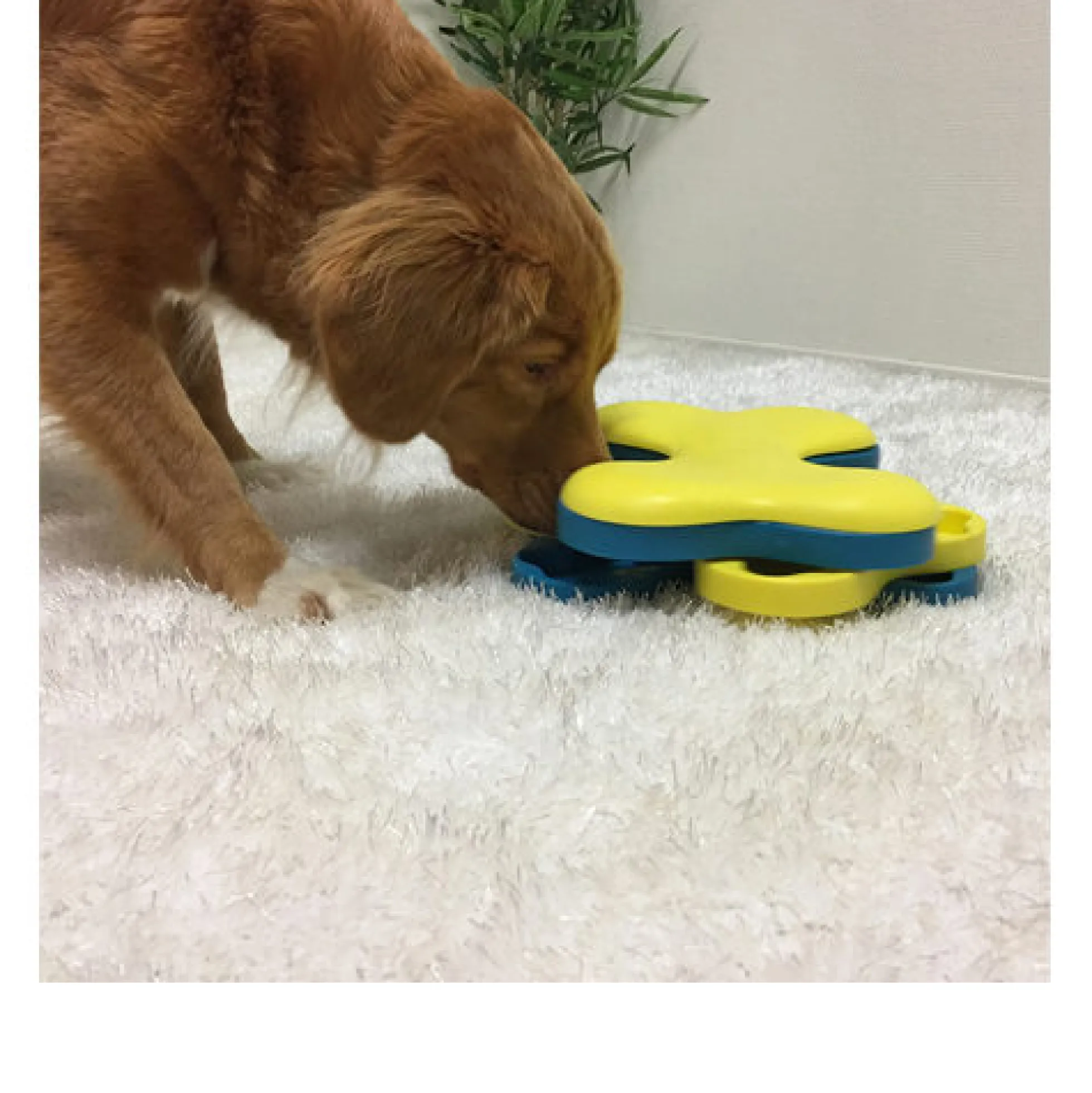 Nina Ottosson Dog/Cat Tornado