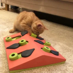 Nina Ottosson Puzzle and Play - Melon Madness