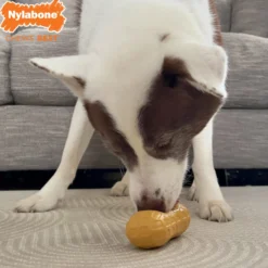 Nylabone Strong Chew Peanut Spread Toy