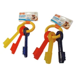 Nylabone Teething Puppy Keys