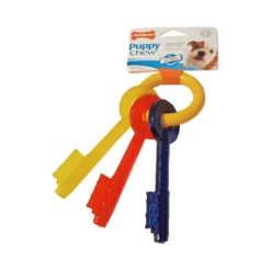Nylabone Teething Puppy Keys