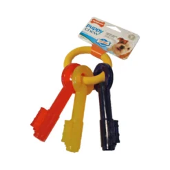 Nylabone Teething Puppy Keys