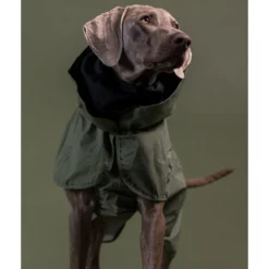 PAIKKA Reflective Raincoat