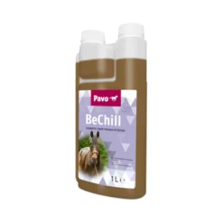Pavo BeChill