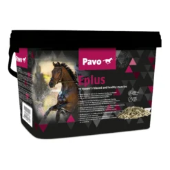 Pavo Eplus