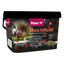 Pavo MuscleBuild