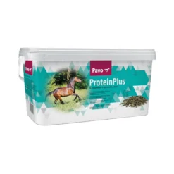 Pavo ProteinPlus