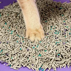 PETKIT 5 in 1 Lettiera Mista per Gatti