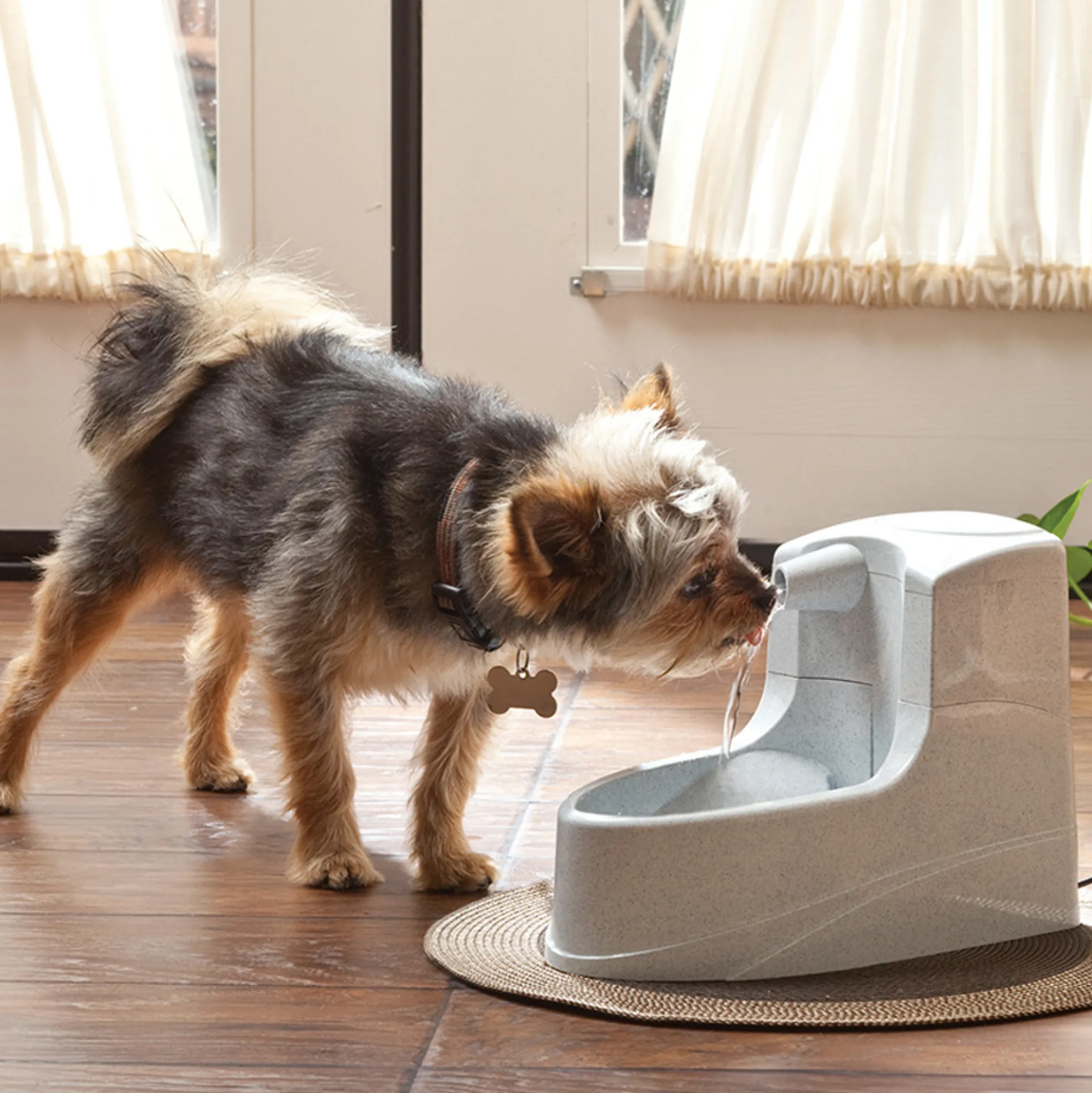 Petsafe Drinkwell Mini Fontana per l'acqua