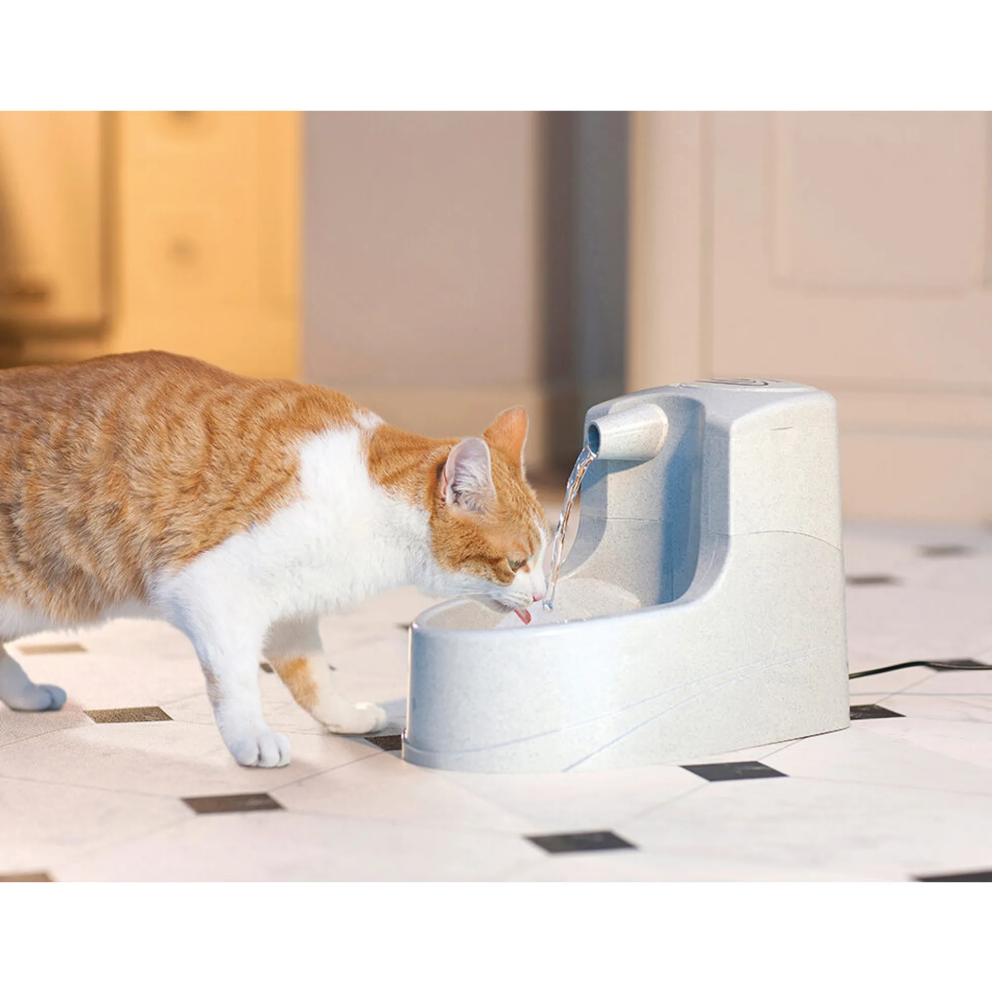 Petsafe Drinkwell Mini Fontana per l'acqua