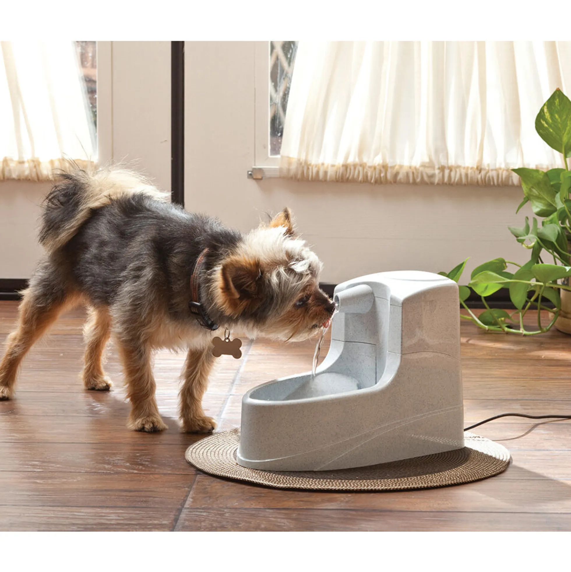 Petsafe Drinkwell Mini Fontana per l'acqua