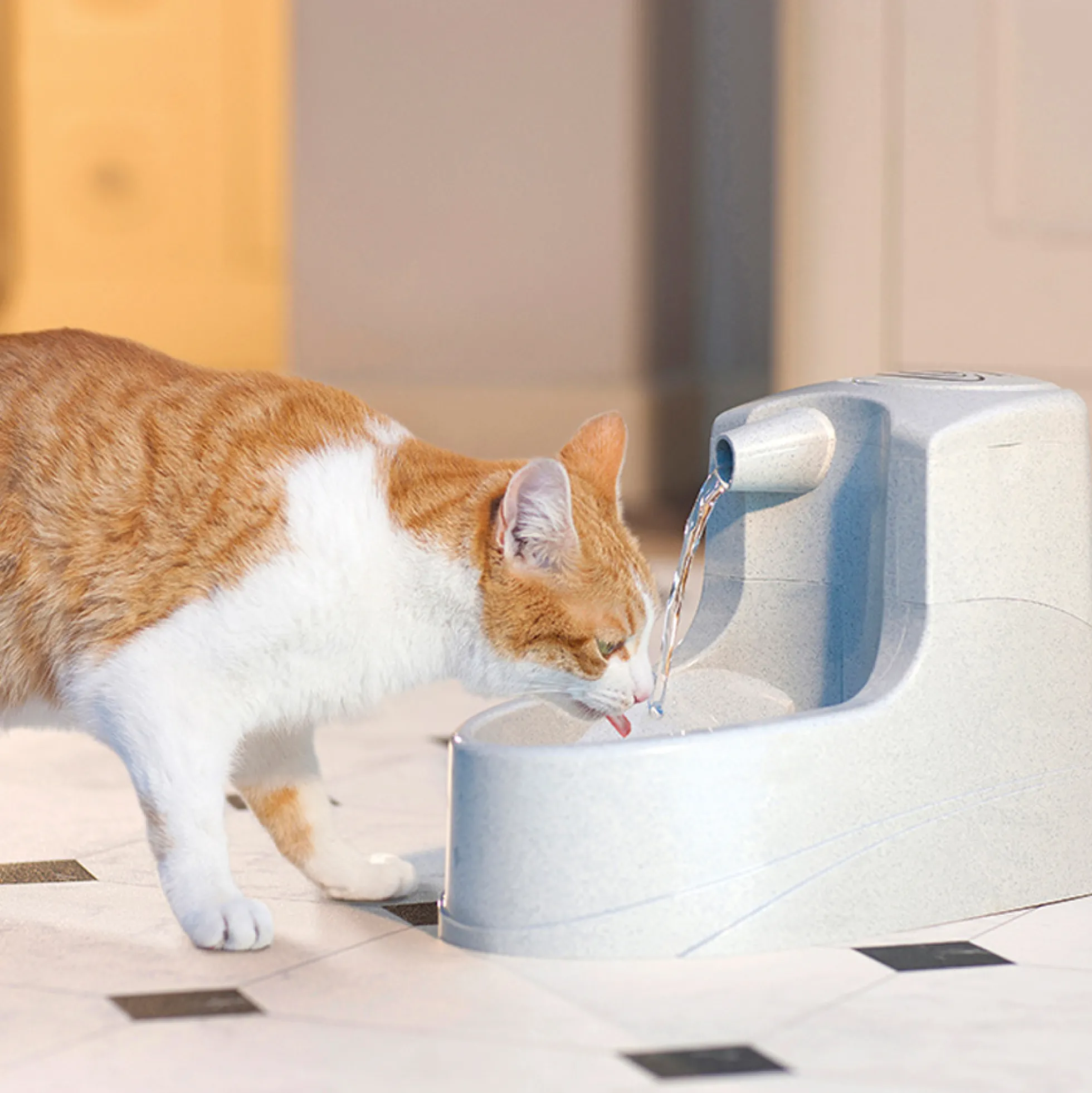Petsafe Drinkwell Mini Fontana per l'acqua