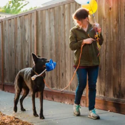 P.L.A.Y. Pet Party Time Collection - Best Day Ever Balloon