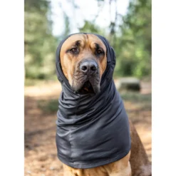 Pomppa HuppuPomppa