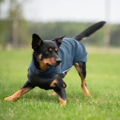 Pomppa Jumppa