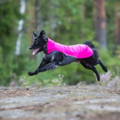 Pomppa Jumppa