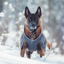 Pomppa Kevyt Cappotto per cani