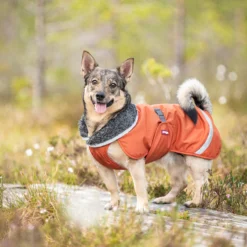 Pomppa Perus Cappotto per cani