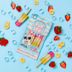 Pup Ice Gelato per Cani Rocket