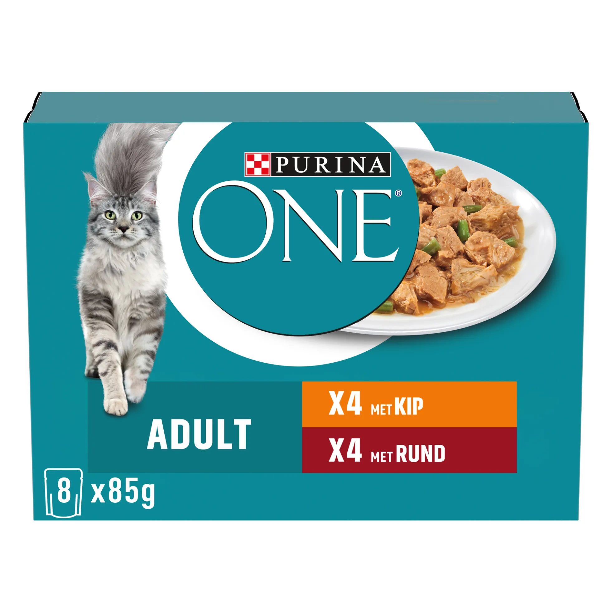 Purina ONE Adult Teneri Filettini in Salsa