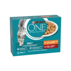Purina ONE Adult Teneri Filettini in Salsa