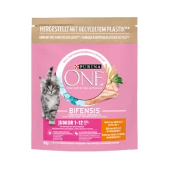 Purina ONE Junior