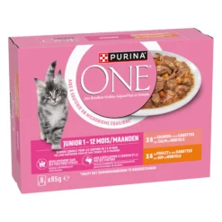 Purina ONE Junior Cibo Umido - Pollo e Salmone