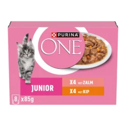 Purina ONE Junior Cibo Umido - Pollo e Salmone