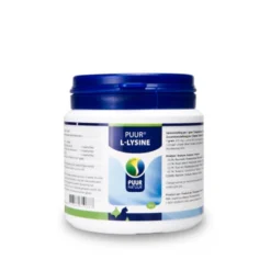 Puur L-Lysine