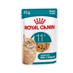 Royal Canin Ageing 11+ in Jelly - Cibo per Gatti