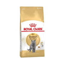 Royal Canin British Shorthair Adult - Cibo per Gatti