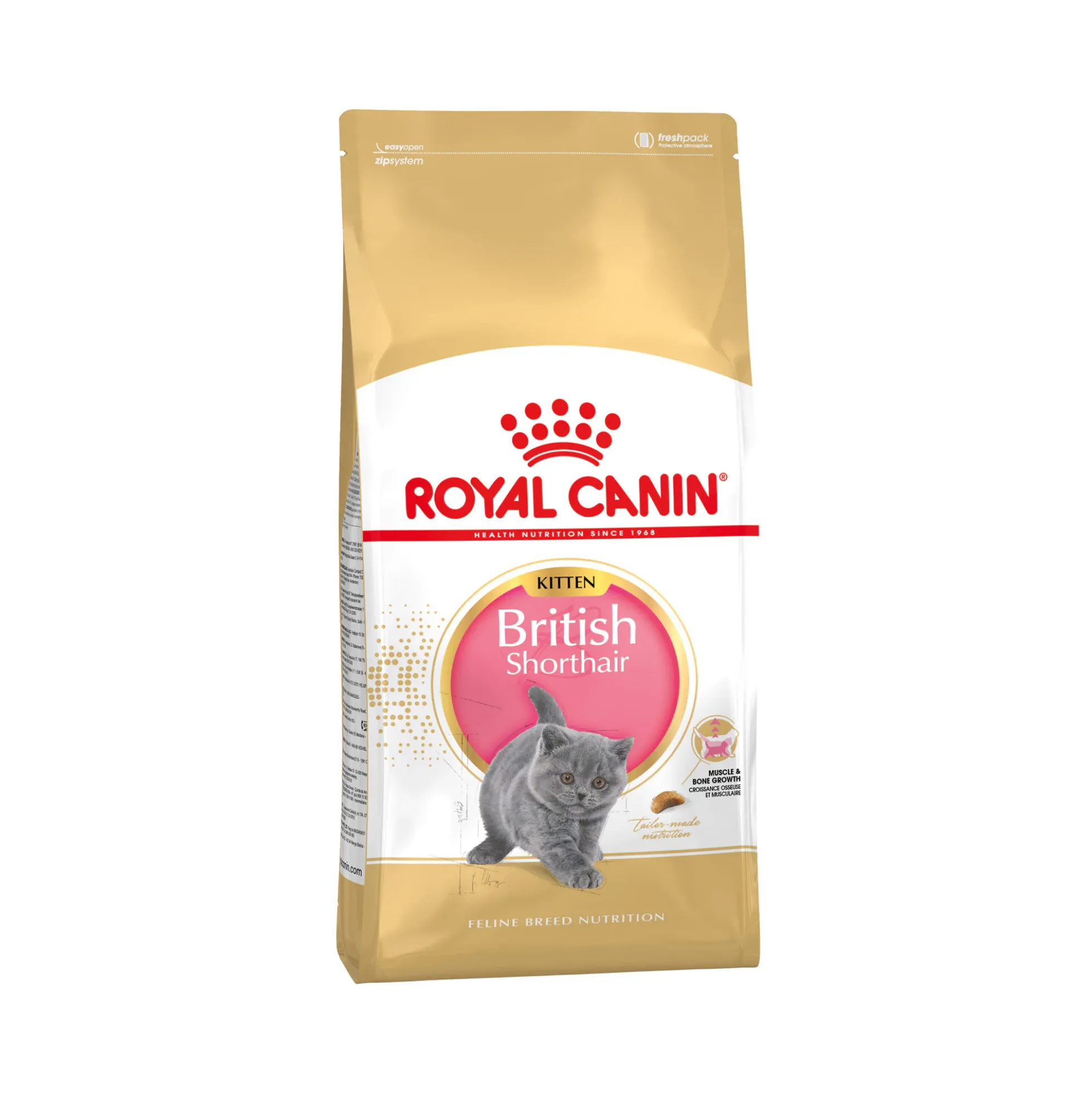 Royal Canin British Shorthair Kitten - Cibo per Gatti
