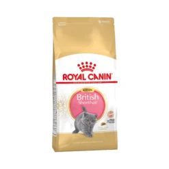 Royal Canin British Shorthair Kitten - Cibo per Gatti