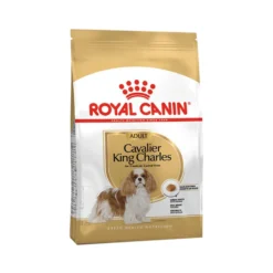 Royal Canin Cavalier King Charles Adult - Cibo per Cani