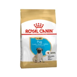 Royal Canin Cucciolo di Carlino - Cibo per Cani