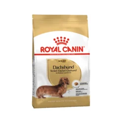Royal Canin Dachshund Adult - Cibo per Cani