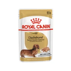 Royal Canin Dachshund Adult Wet - Cibo per cani
