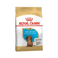 Royal Canin Dachshund Puppy - Cibo per Cani