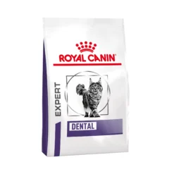 Royal Canin Dental Cibo per Gatti