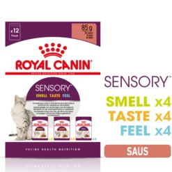 Royal Canin FHN Sensory Multipack in Gravy