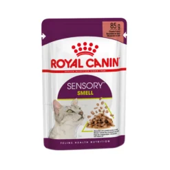 Royal Canin FHN Sensory Smell Cibo per Gatti