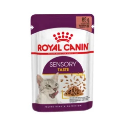 Royal Canin FHN Sensory Taste Cibo per Gatti
