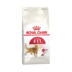 Royal Canin Fit 32 - Cibo per Gatti