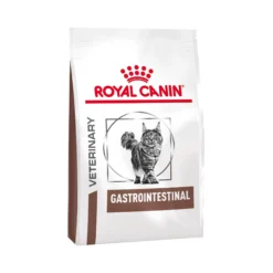 Royal Canin Gastrointestinal Gatto