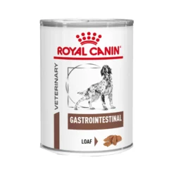 Royal Canin Gastrointestinal Cane - Lattina