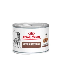 Royal Canin Gastrointestinal Cane - Lattina