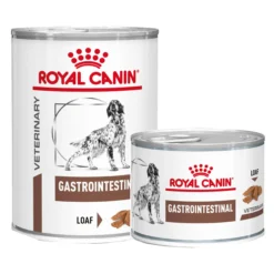 Royal Canin Gastrointestinal Cane - Lattina