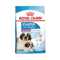 Royal Canin Giant Starter Mother & Babydog - Cibo per Cani